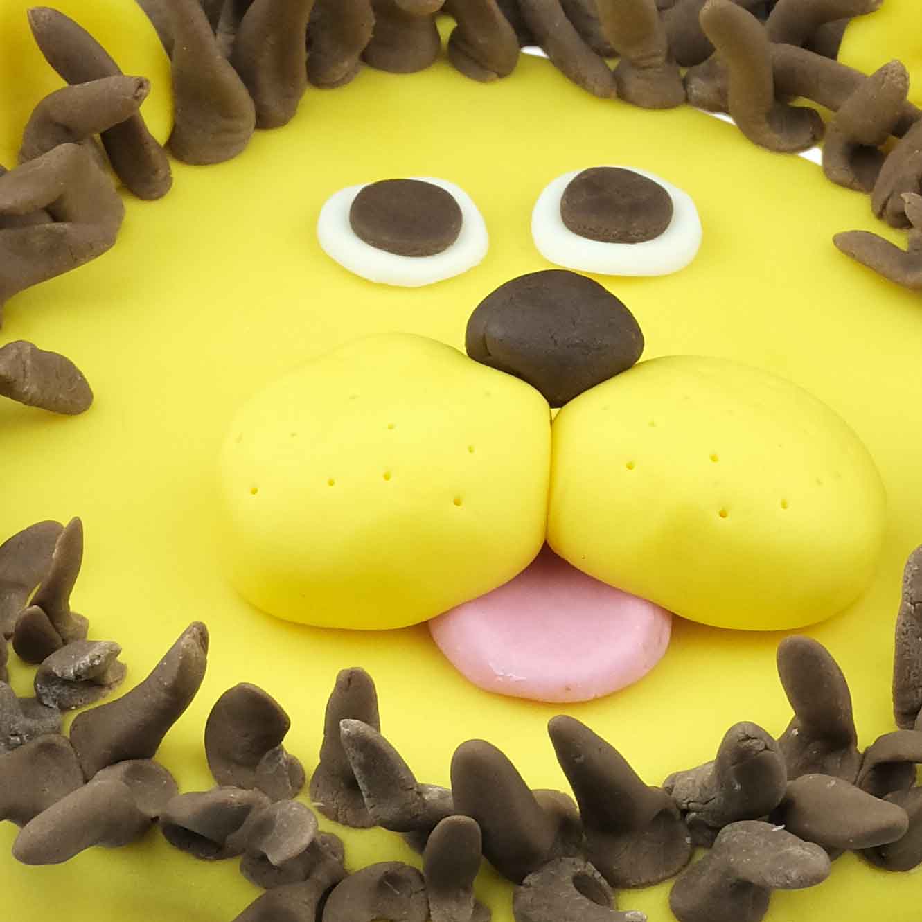 Lion King Birthday Surprise Cake | Faridabadcake